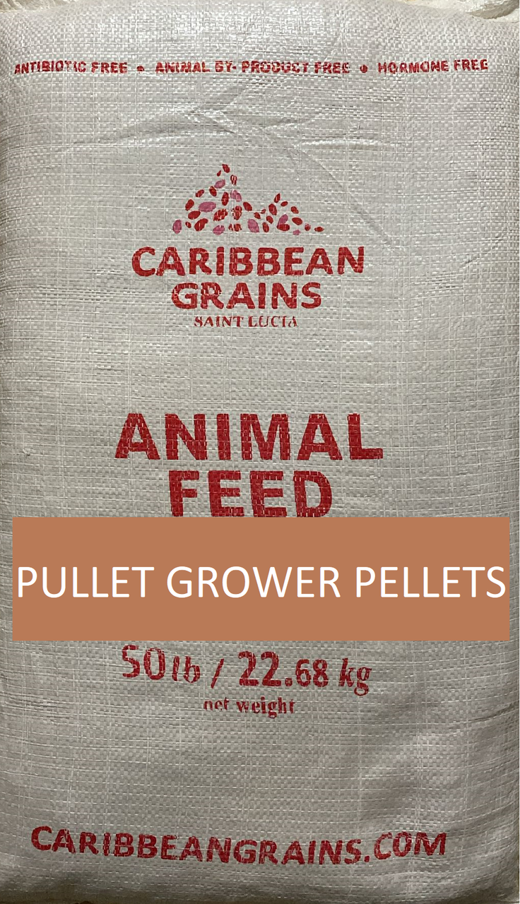 CGL Layer (Pullet)  Grower Pellets (50 lb) , Antibiotic & Hormone Free - *In Store