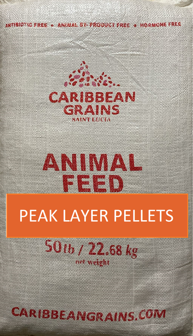 CGL Peak Layer Pellets (19% Protein) (50 lb), Antibiotic & Hormone Free - *In Store