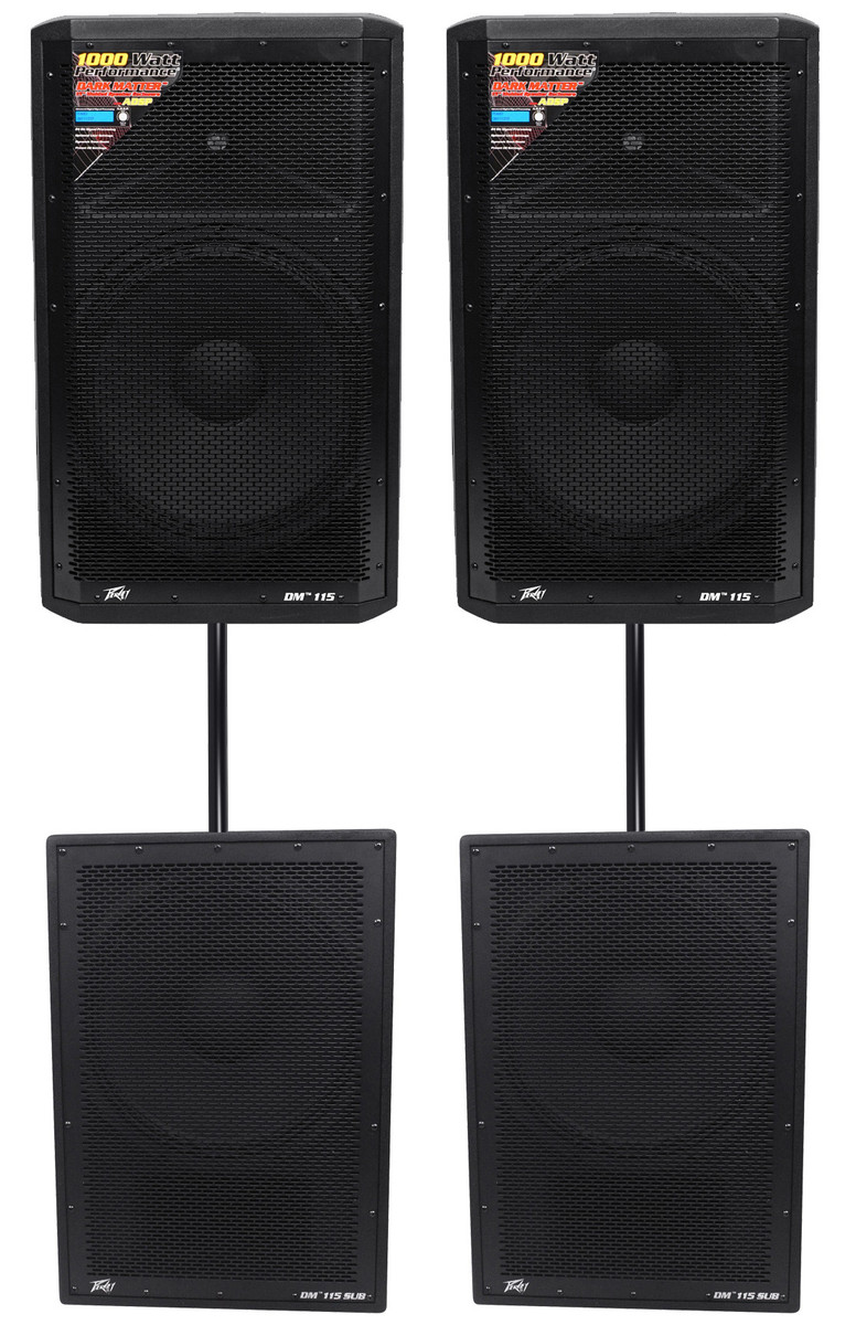 2) Peavey DM 115 15