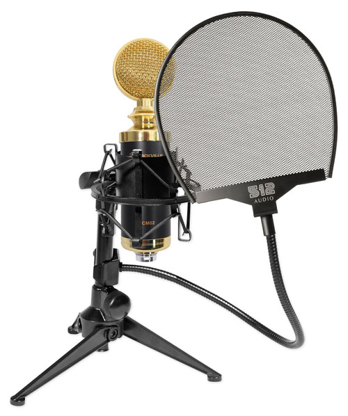 Rockville RCM02 Studio Recording Condenser Microphone+Shockmount+Stand+Filter