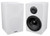 Pair Rockville RockShelf 68W White 6.5" Home Bookshelf Speakers w/37" Stands