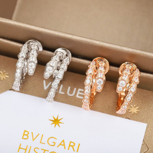 BU600 Hoop Earrings