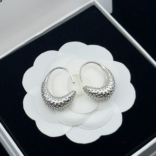CE369 Hoop Earrings