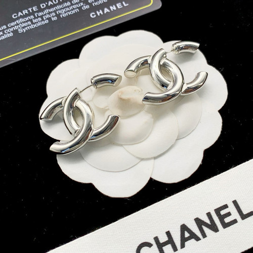 CC789 Hoop Earrings