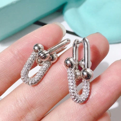 TI367 Dangle Earrings