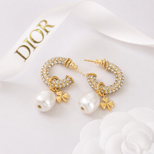 CD719 Dangle Earrings