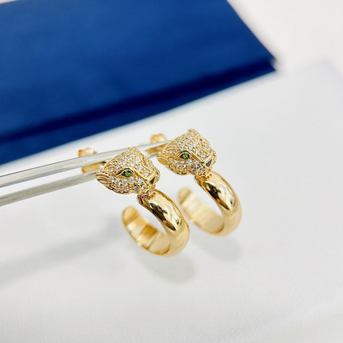 CA80 Hoop Earrings