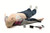 RA Advanced SkillTrainer AED-LINK, IV-arm left; includes ShockLink