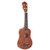 21 Inch Brown Soprano Basswood Ukulele Uke Hawaii Guitar Musical Instrument C122-1232996