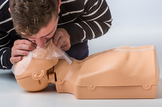 Training Man: Two-in-One CPR Manikin 4 pack with carry case
