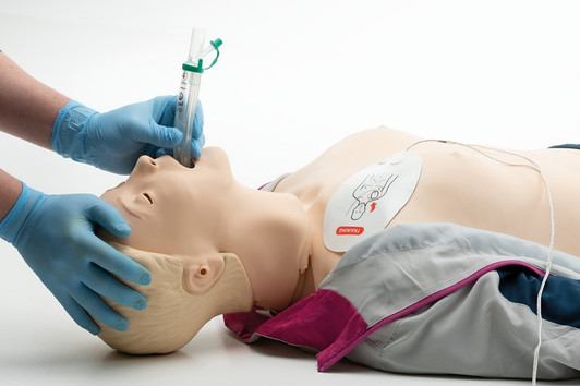 RA Advanced SkillTrainer Paddle, IV-arm right; includes Defib studs