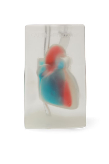 Cardiac Echo Ultrasound Training Model