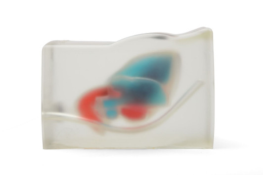 Cardiac Echo Ultrasound Training Model