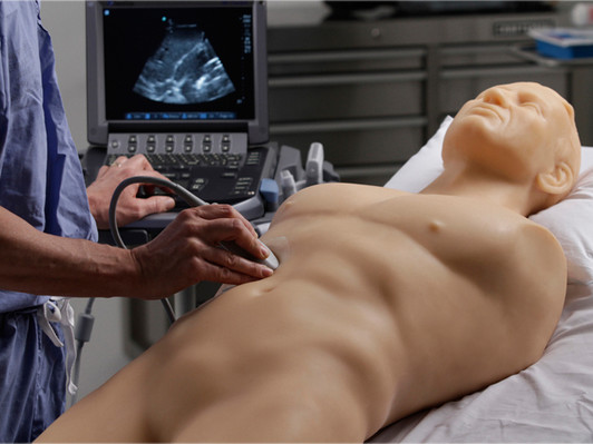 FAST Exam Real Time Ultrasound Training Model - Standard Warranty