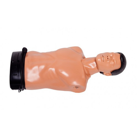Ambu Man Torso (Model W)