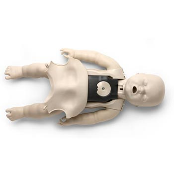 The Prestan Manikin Collection (Options Available!)