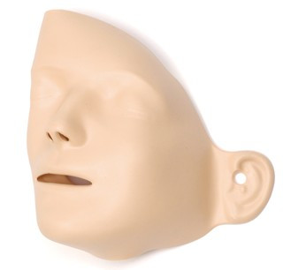 Adult Manikin Faces / 6 Pack