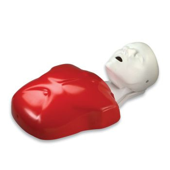 Basic Buddy manikin