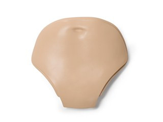 Belly Plate for Adult Manikins