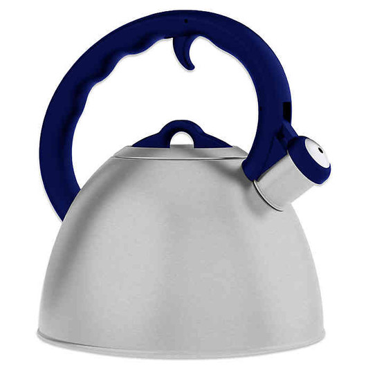 Remedy Metro 1.6-Quart Brushed Stainless Steel Tea Kettles