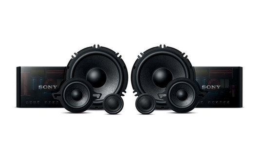 Sony 6.5" XS-GS1631C Speakers + Free $100 Gift Card