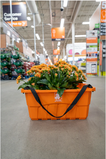 A2ZHOME Large Reusable Orange Box (Stackable) - 13.5" X 22" X 9.5" (6/CASE)-A2ZHOME
