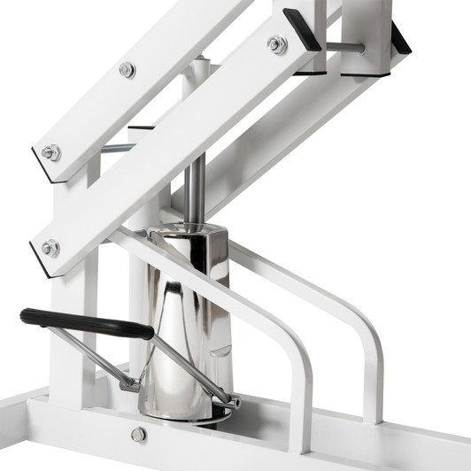 A2ZHOME 42.5INCH HYDRAULIC PET GROOMING TABLE