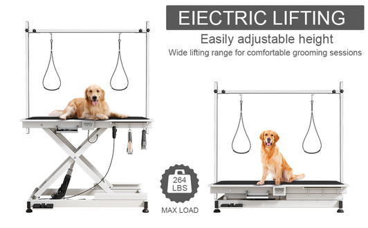 A2ZHOME super Deluxe electric pet grooming table, 110V/220V professional groomer recommend height adjust from 8 up to 36inch