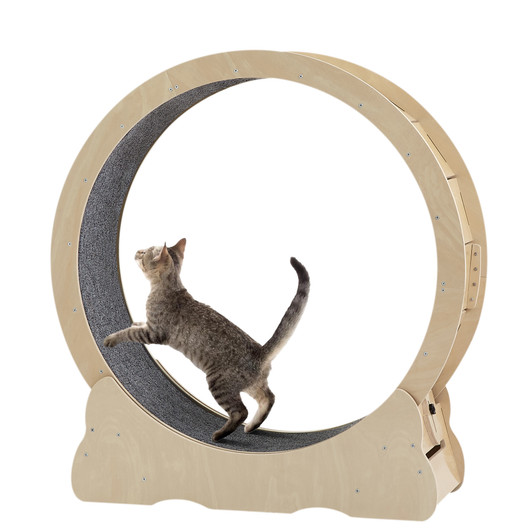 A2ZHOME Cat Exercise Wheel - Indoor Cat Treadmill with Carpeted Running Track, Safety Cat Treadmill with Latch, Weighted Wheel for Cats, Add Fun to Cat Exercise, Natural Wood Color,35.8"L x 12.6"W x 38.2"H