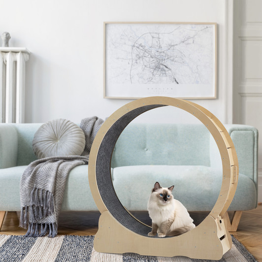 A2ZHOME Cat Exercise Wheel - Indoor Cat Treadmill with Carpeted Running Track, Safety Cat Treadmill with Latch, Weighted Wheel for Cats, Add Fun to Cat Exercise, Natural Wood Color,35.8"L x 12.6"W x 38.2"H