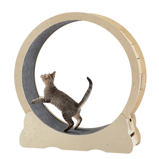 A2ZHOME Cat Exercise Wheel - Indoor Cat Treadmill with Carpeted Running Track, Safety Cat Treadmill with Latch, Weighted Wheel for Cats, Add Fun to Cat Exercise, Natural Wood Color, 39.4"L x 13.2"W x 41.3"H