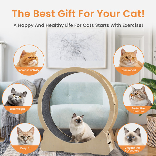 A2ZHOME Cat Exercise Wheel - Indoor Cat Treadmill with Carpeted Running Track, Safety Cat Treadmill with Latch, Weighted Wheel for Cats, Add Fun to Cat Exercise, Natural Wood Color, 39.4"L x 13.2"W x 41.3"H
