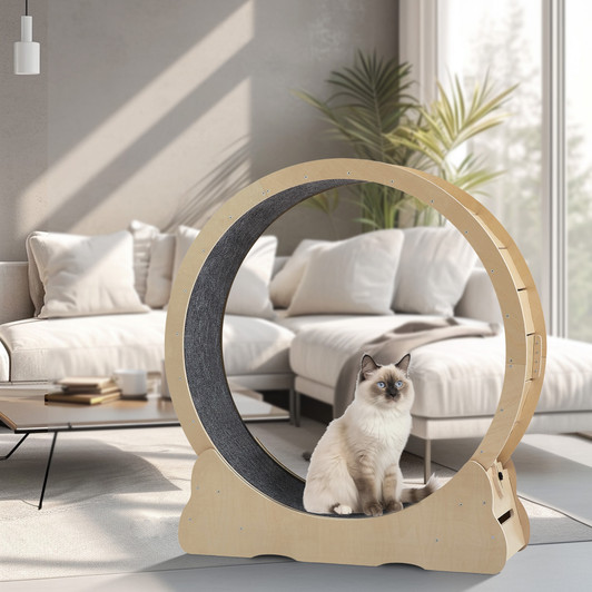 A2ZHOME Cat Exercise Wheel - Indoor Cat Treadmill with Carpeted Running Track, Safety Cat Treadmill with Latch, Weighted Wheel for Cats, Add Fun to Cat Exercise, Natural Wood Color,43.3"L x 13.2"W x 45.9"H