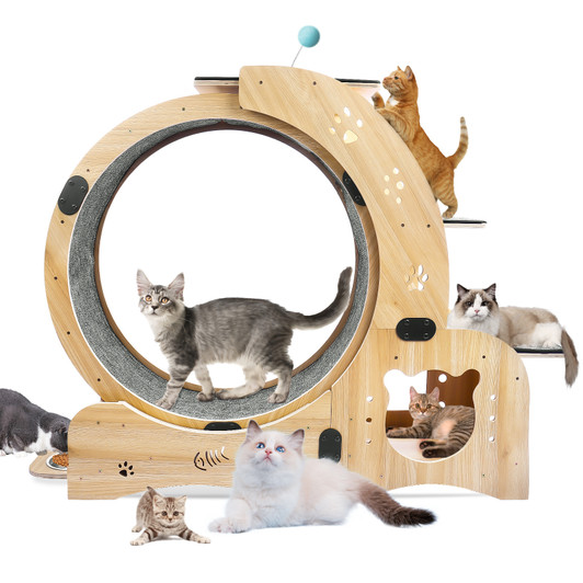 A2ZHOME Cat Wheel 4-in-1 Cat Exercise Wheel,Upgraded Cat Wheel Exerciser for Indoor Cats,Large Cat Treadmill,Cat Running Wheel with Silent Wheel,Cat Walking Wheel Cat Furniture Cat Toys