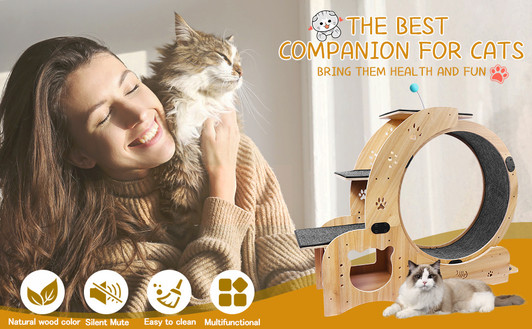 A2ZHOME Cat Wheel 4-in-1 Cat Exercise Wheel,Upgraded Cat Wheel Exerciser for Indoor Cats,Large Cat Treadmill,Cat Running Wheel with Silent Wheel,Cat Walking Wheel Cat Furniture Cat Toys