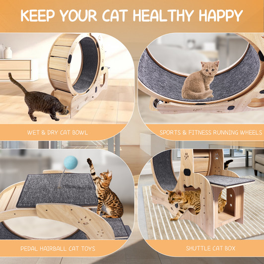 A2ZHOME Cat Wheel 4-in-1 Cat Exercise Wheel,Upgraded Cat Wheel Exerciser for Indoor Cats,Large Cat Treadmill,Cat Running Wheel with Silent Wheel,Cat Walking Wheel Cat Furniture Cat Toys