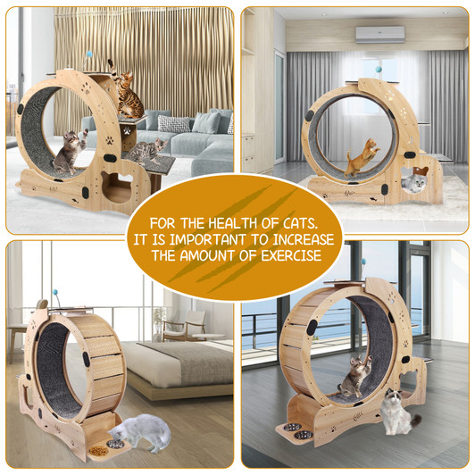 A2ZHOME Cat Wheel 4-in-1 Cat Exercise Wheel,Upgraded Cat Wheel Exerciser for Indoor Cats,Large Cat Treadmill,Cat Running Wheel with Silent Wheel,Cat Walking Wheel Cat Furniture Cat Toys
