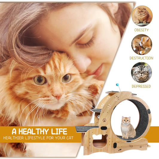 A2ZHOME Cat Wheel 4-in-1 Cat Exercise Wheel,Upgraded Cat Wheel Exerciser for Indoor Cats,Large Cat Treadmill,Cat Running Wheel with Silent Wheel,Cat Walking Wheel Cat Furniture Cat Toys