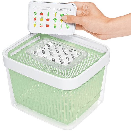 a2zhospo GreenSaver 4.3 Qt. Rectangular Produce Keeper with Colander and Lid, Polypropylene
