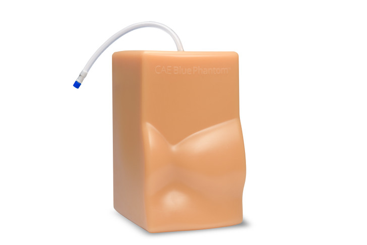 Cardiac Echo Ultrasound Training Model