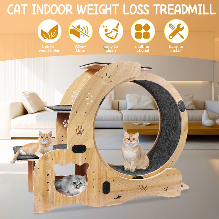 A2ZHOME Cat Wheel 4-in-1 Cat Exercise Wheel,Upgraded Cat Wheel Exerciser for Indoor Cats,Large Cat Treadmill,Cat Running Wheel with Silent Wheel,Cat Walking Wheel Cat Furniture Cat Toys