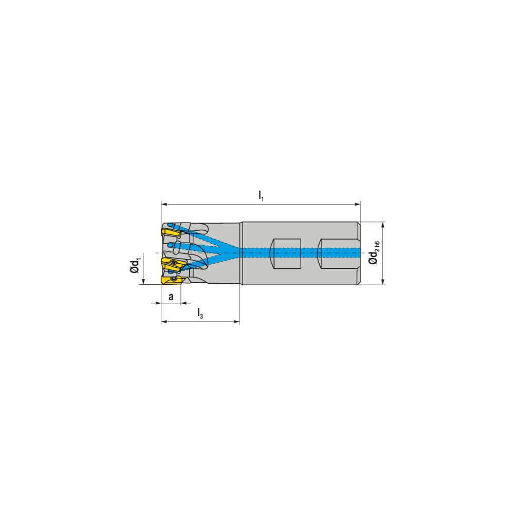 Ceratizit 5073773200 Indexable Square-Shoulder End Mills; Maximum Depth of Cut (mm): 10.00 ; Cutter Style: C211 ; Shank Type: Weldon Flat ; Shank Diameter (Decimal Inch): 25.0000 ; Shank Diameter (Inch): 25 ; Insert Holding Method: Screw