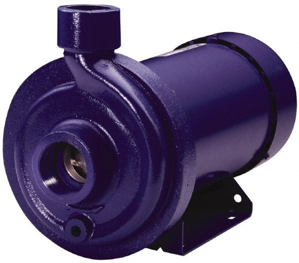 Goulds Pumps 100MC1H2A0 AC Straight Pump: 208 to 230/460V, 9/4.5A, 3 hp, 3 Phase, Cast Iron Housing, 316L Stainless Steel Impeller