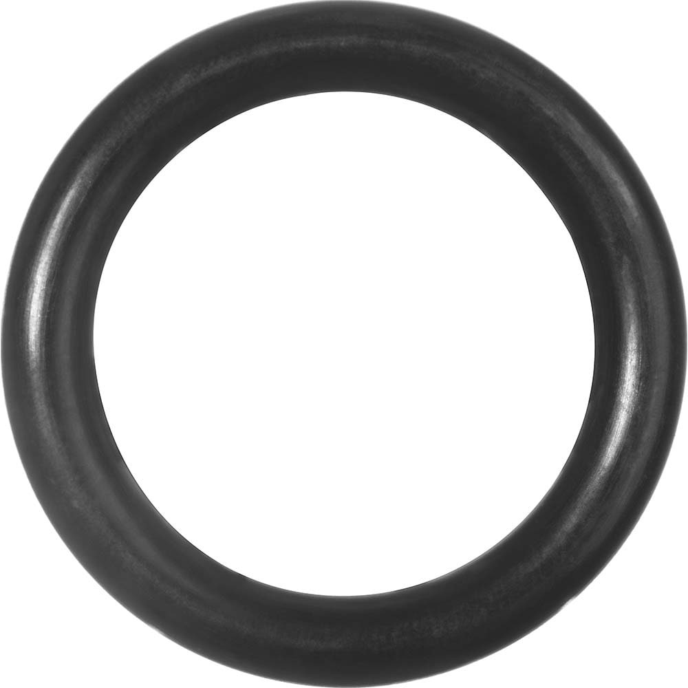 USA Industrials 125k4079 O-Ring: 1.2" ID x 1.505" OD, 0.103" Thick, Dash 125, Kalrez 4079