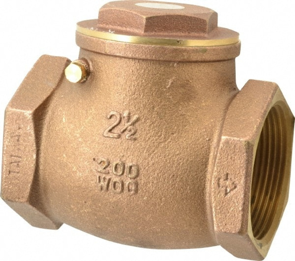 Legend Valve 105-109 Check Valve: 2-1/2" Pipe