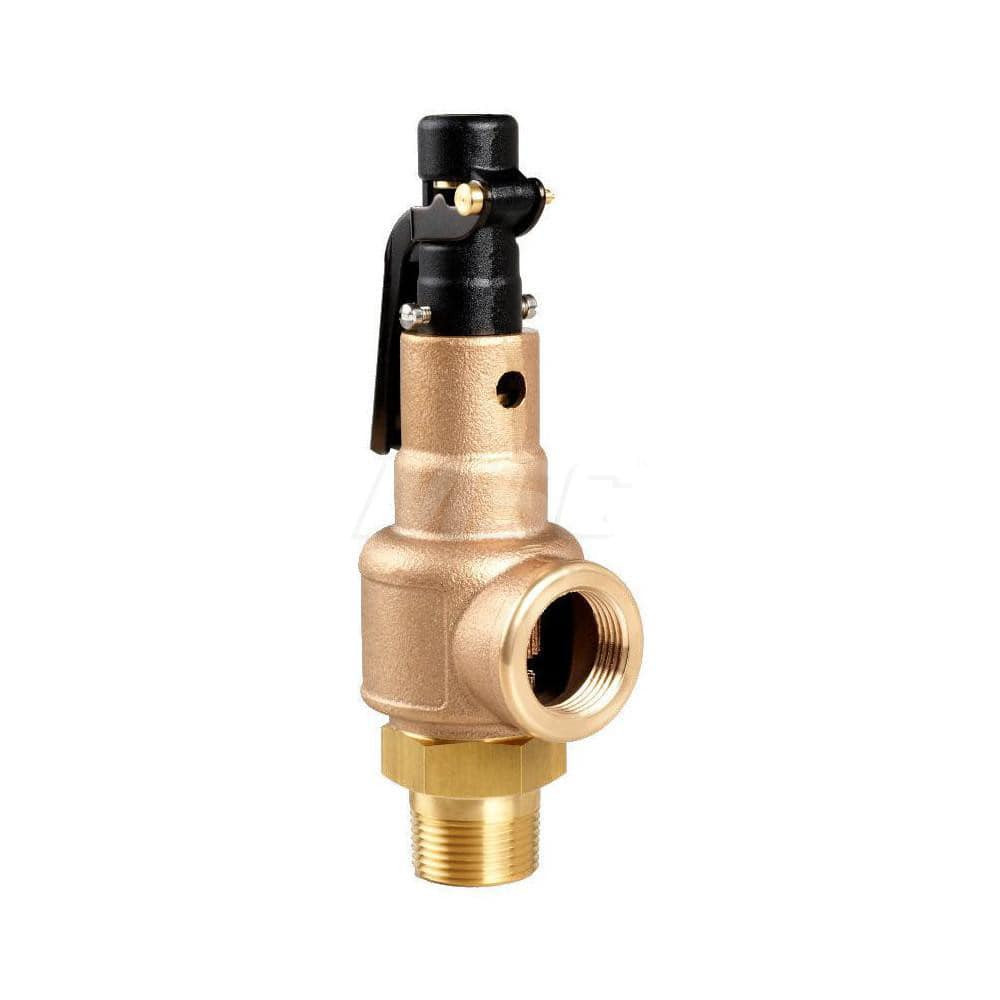 Aquatrol 570GF1M1L1-125 Steam Relief Valve: 1-1/4" Inlet, 300 Max psi