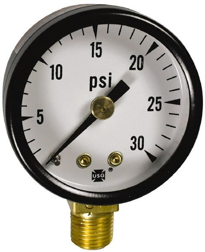 Ametek 163269 Pressure Gauge: 2" Dial, 0 to 60 psi, 1/4" Thread, NPT, Lower Mount