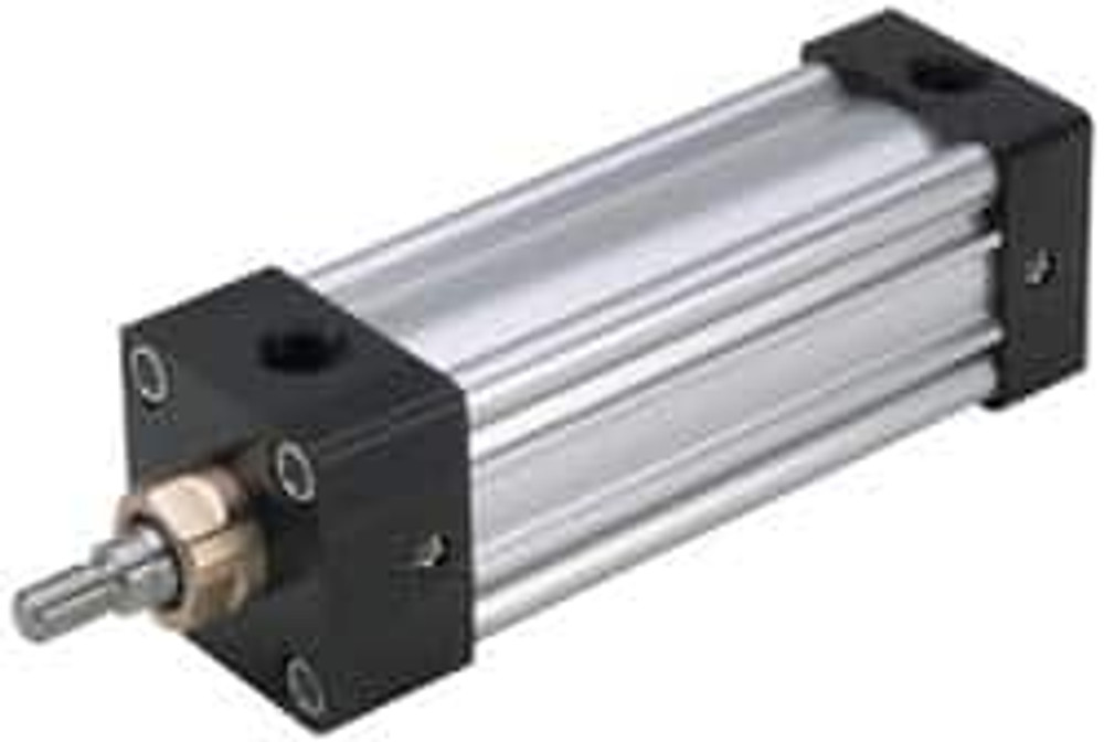 Parker 5.0TEF4MAU14A5 Double Acting Rodless Air Cylinder: 5" Bore, 5" Stroke, 250 psi Max, 1/2 NPTF Port, Basic Mount