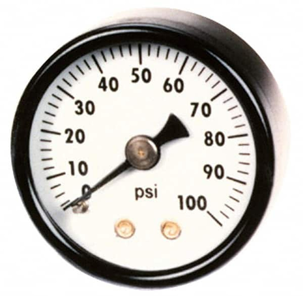 Ametek 166322 Pressure Gauge: 1-1/2" Dial, 0 to 100 psi, 1/8" Thread, NPT, Center Back Mount