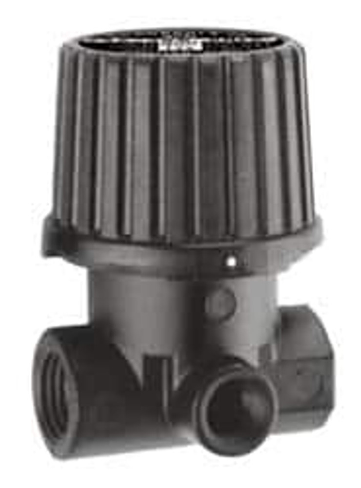 Norgren R46-200-RNLA Compressed Air Regulator: 1/4" NPT, 250 Max psi, Miniature